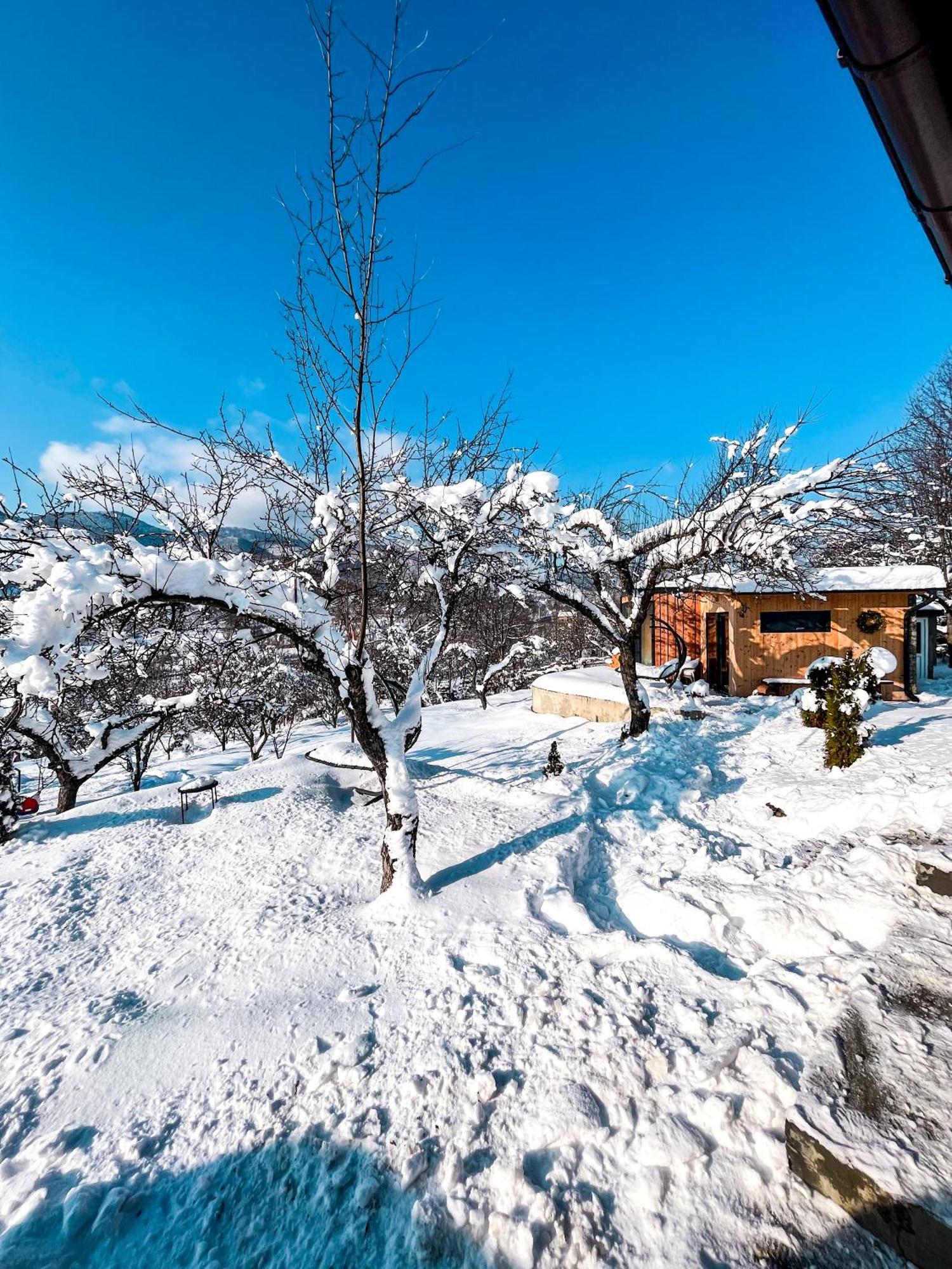 Elysian Fields - The Island Tiny House Bed & Breakfast Sadu Bagian luar foto